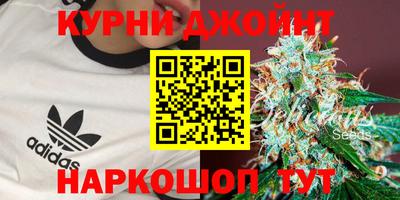гидра Бузулук
